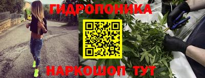 PSILOCYBIN Гагарин