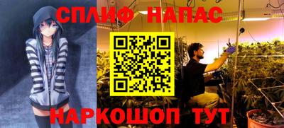 таблы Гатчина