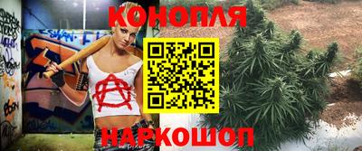 PSILOCYBIN Гагарин