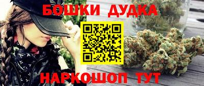 PSILOCYBIN Гагарин