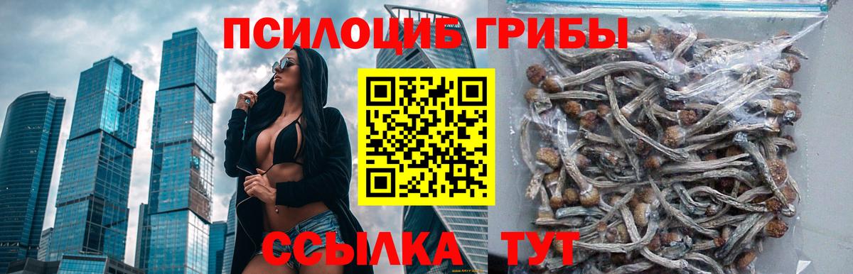 Галлюциногенные грибы Cubensis  Вход с VPN  Ипатово 