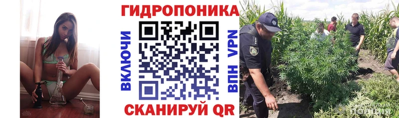 магазин продажи наркотиков  Ипатово  Канабис гибрид 